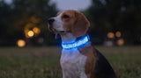 LumiPaw™ LED Dog Collar