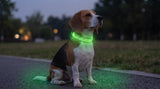 LumiPaw™ LED Dog Collar