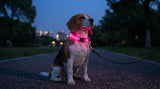 LumiPaw™ LED Dog Collar