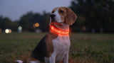 LumiPaw™ LED Dog Collar